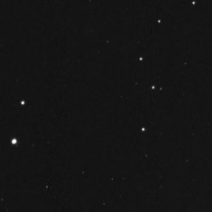 Meet your Posher, Thomas